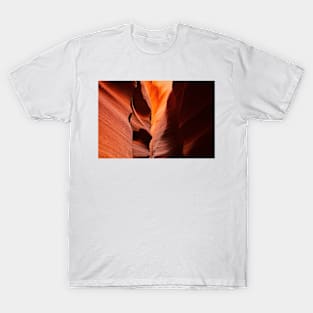 850_3712N T-Shirt